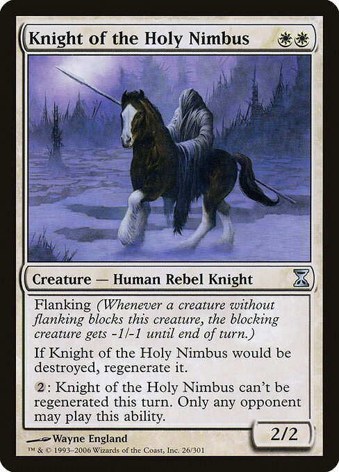 Knight of the Holy Nimbus 26