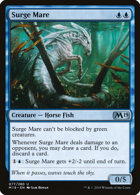 Surge Mare 77