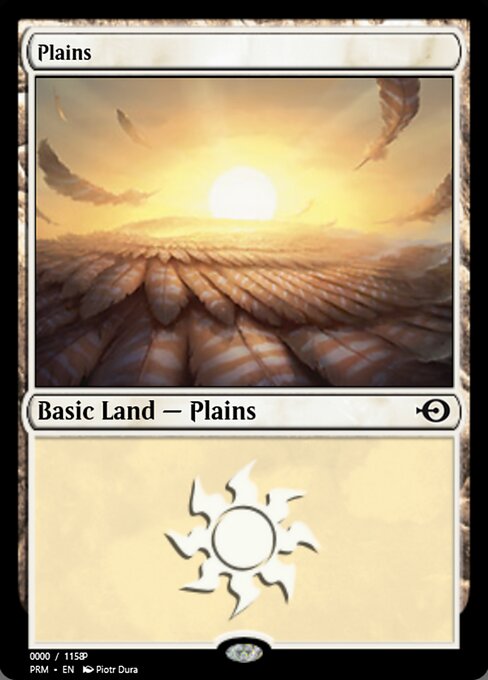 Plains 81830