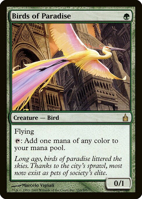 Birds of Paradise 153