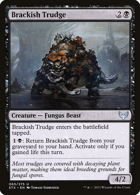 Brackish Trudge 65
