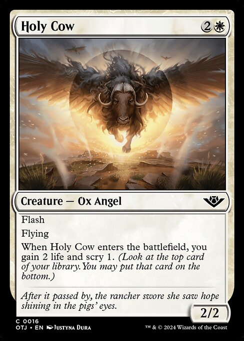 Holy Cow 16