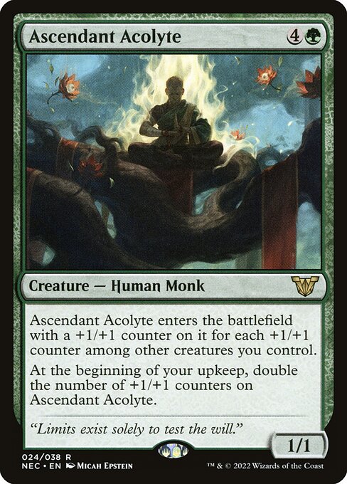 Ascendant Acolyte 24