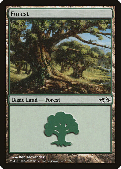 Forest 31