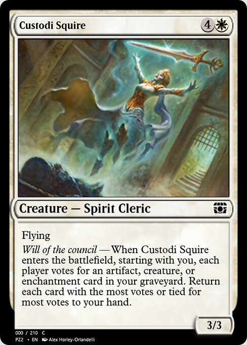 Custodi Squire 65781