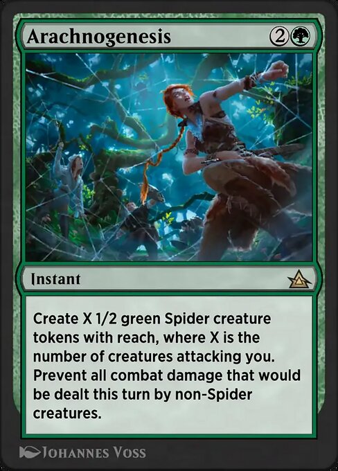 Arachnogenesis 31