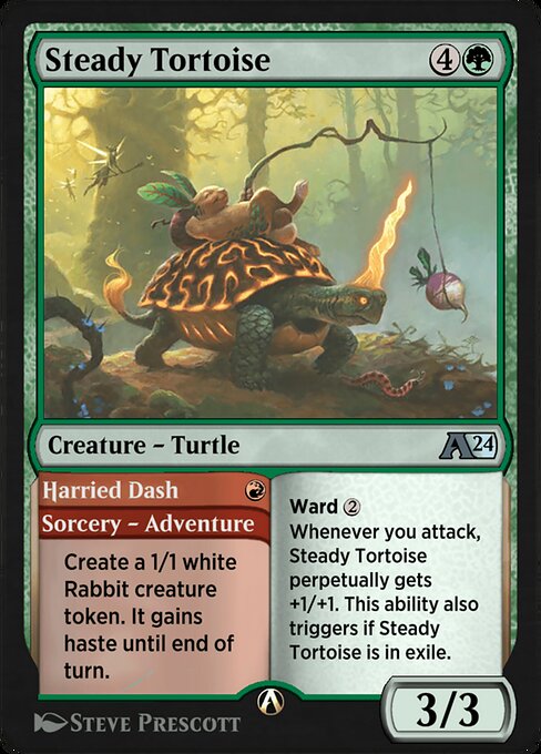 Steady Tortoise // Harried Dash 25