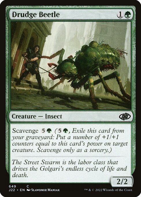Drudge Beetle 649