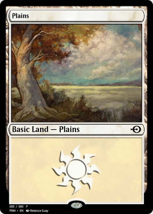 Plains 58253
