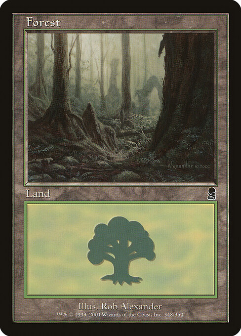 Forest 348