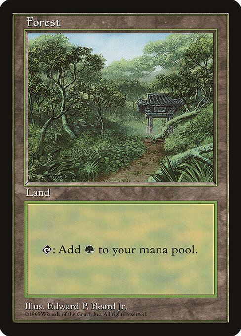 Forest 11