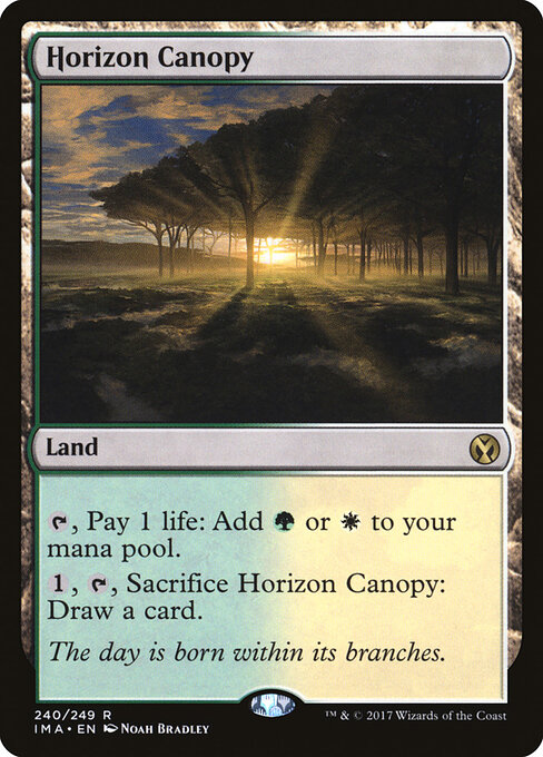 Horizon Canopy 240