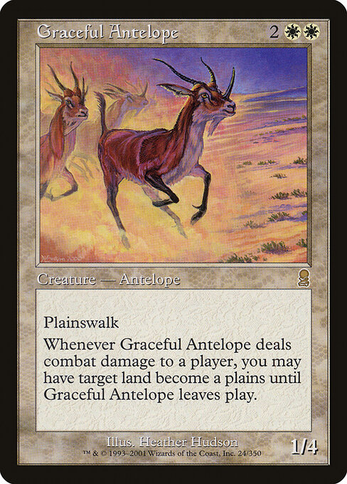 Graceful Antelope 24
