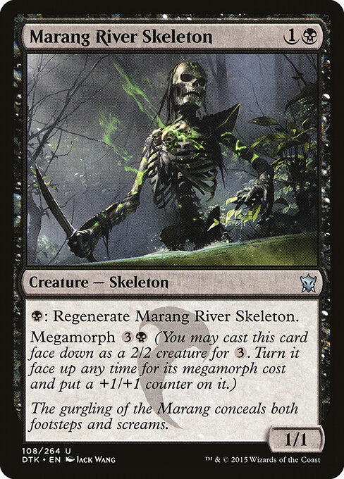 Marang River Skeleton 108