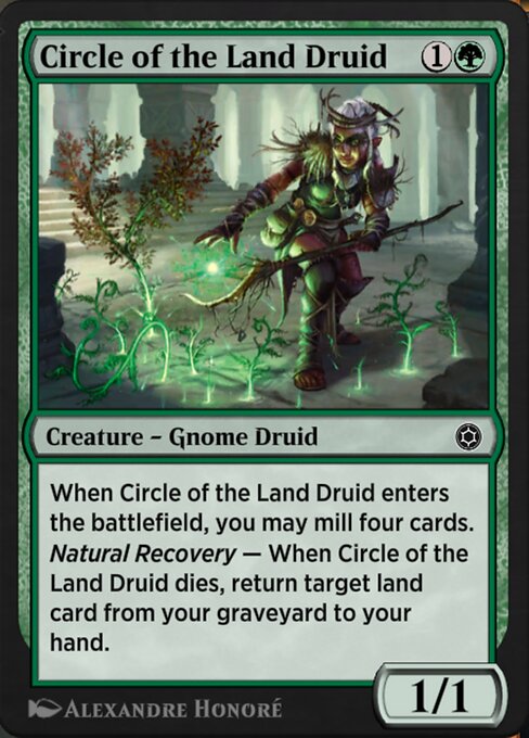 Circle of the Land Druid 203