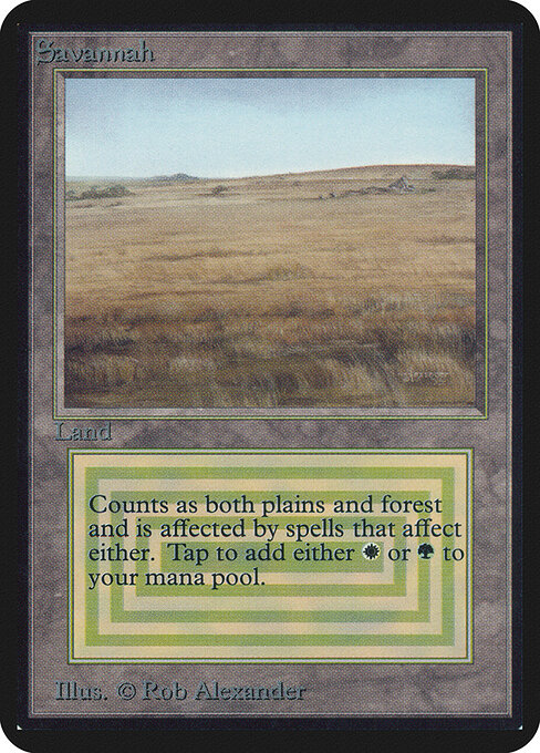 Savannah 280