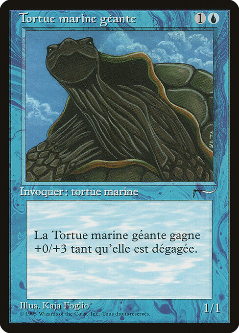 Giant Tortoise 34