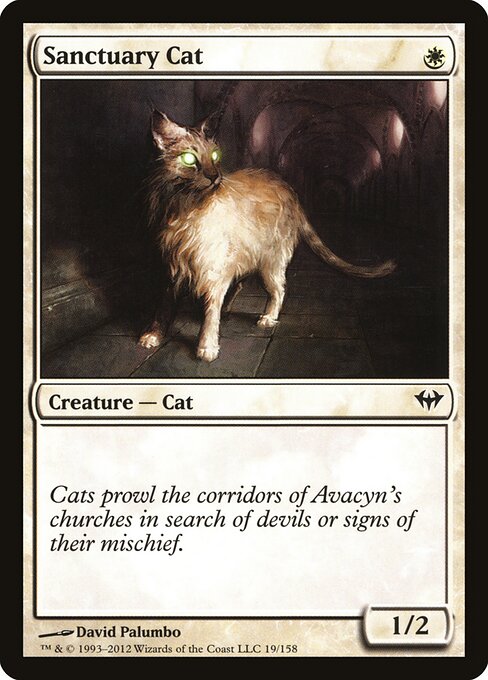 Sanctuary Cat 19