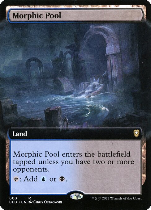 Morphic Pool 603