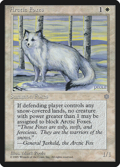 Arctic Foxes 2