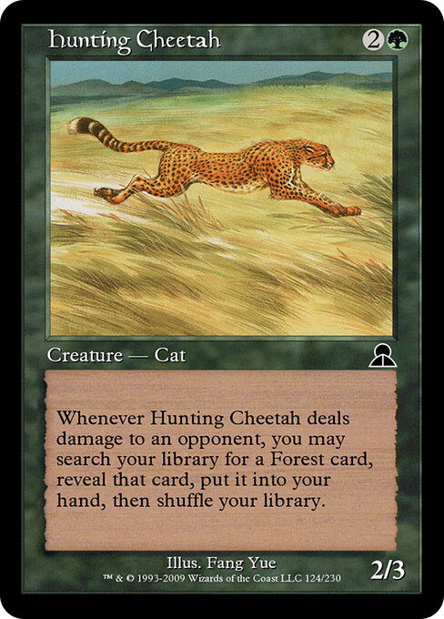 Hunting Cheetah 124