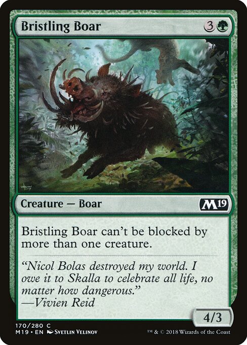 Bristling Boar 170