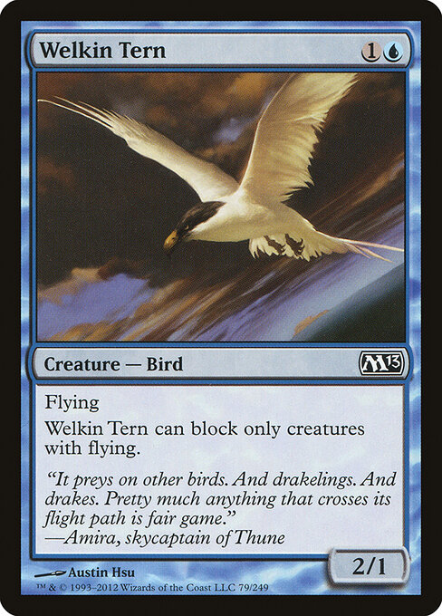 Welkin Tern 79