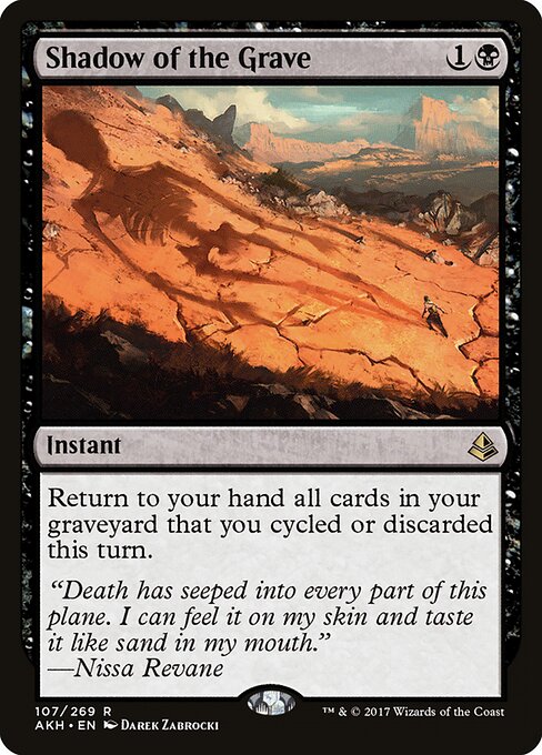 Shadow of the Grave 107