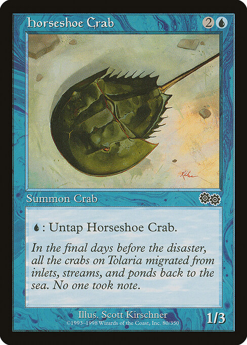 Horseshoe Crab 80