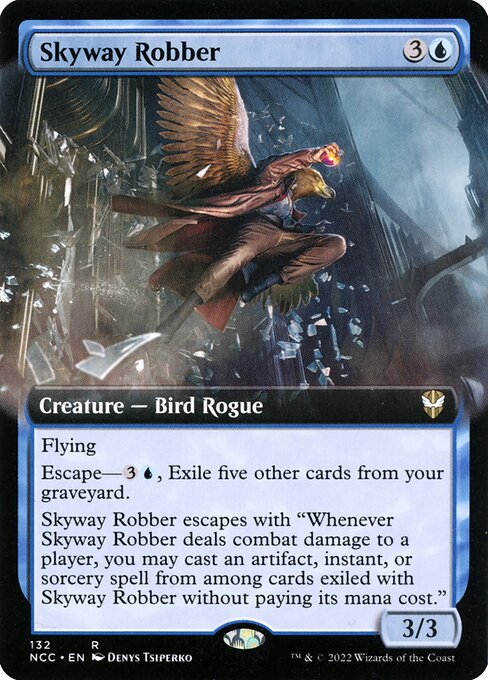 Skyway Robber 132