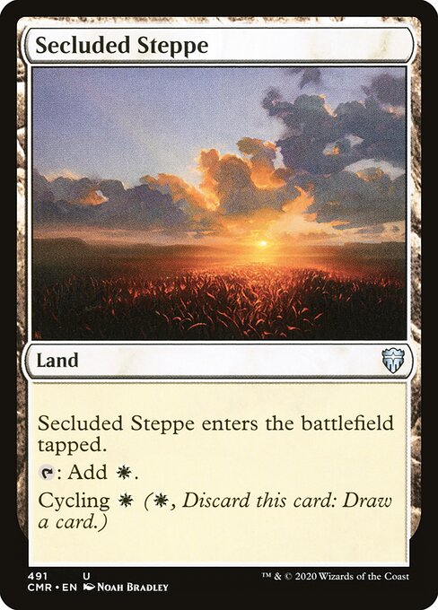 Secluded Steppe 491