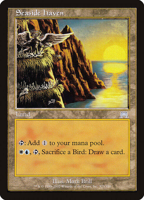 Seaside Haven 323