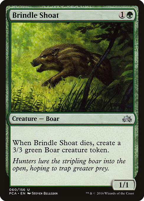 Brindle Shoat 60