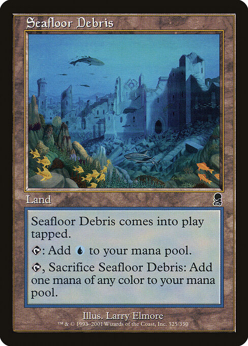 Seafloor Debris 325
