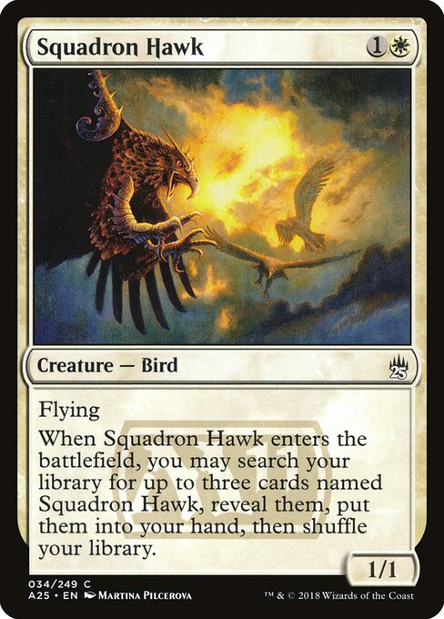 Squadron Hawk 34