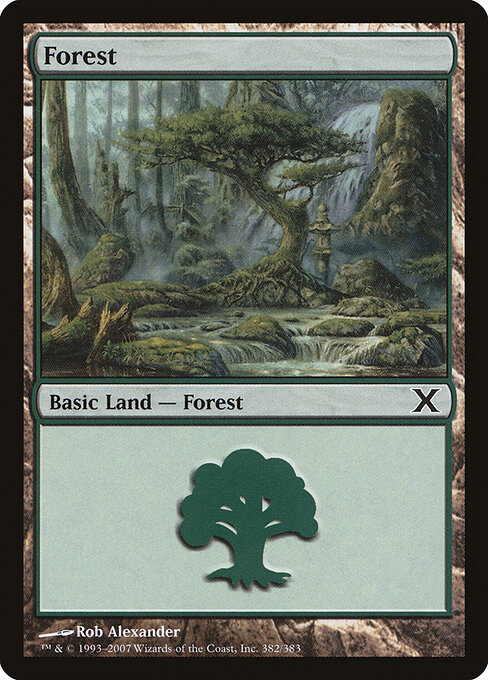 Forest 382