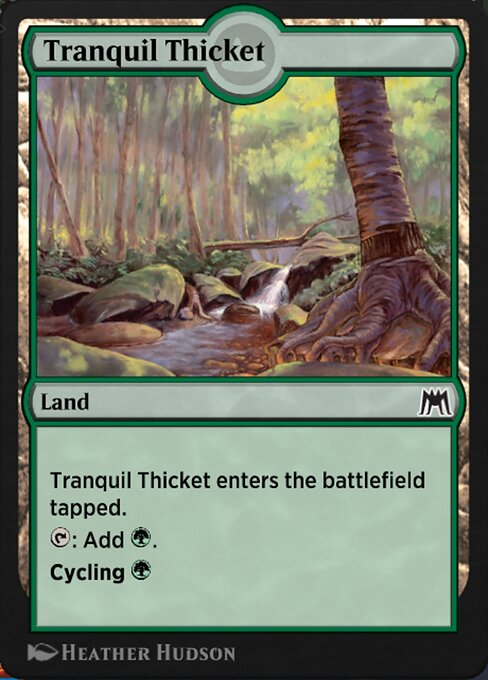 Tranquil Thicket 25