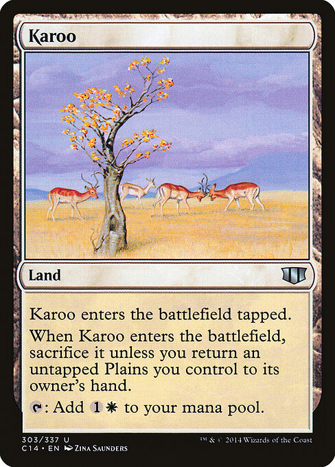 Karoo 303