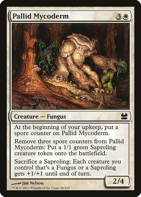 Pallid Mycoderm 24