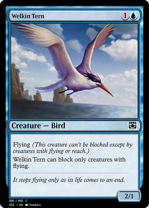 Welkin Tern 70815