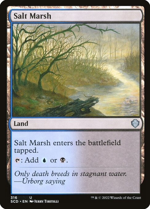 Salt Marsh 316