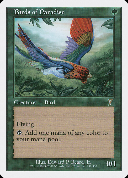 Birds of Paradise 231