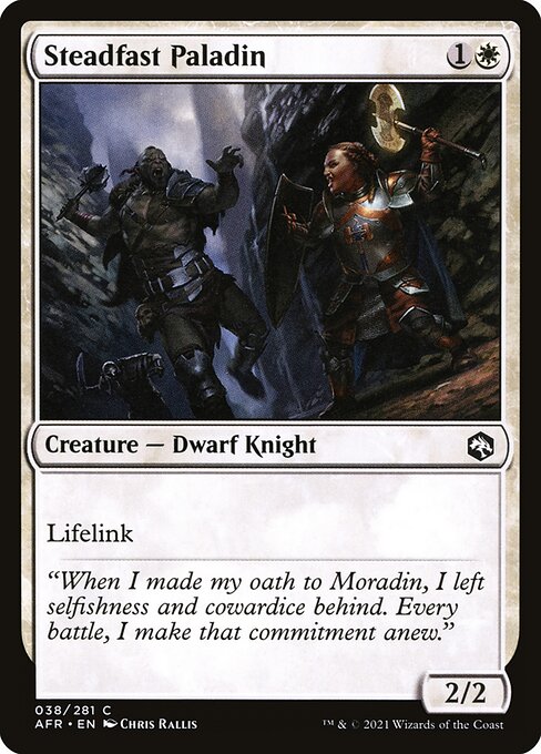 Steadfast Paladin 38