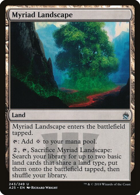 Myriad Landscape 243