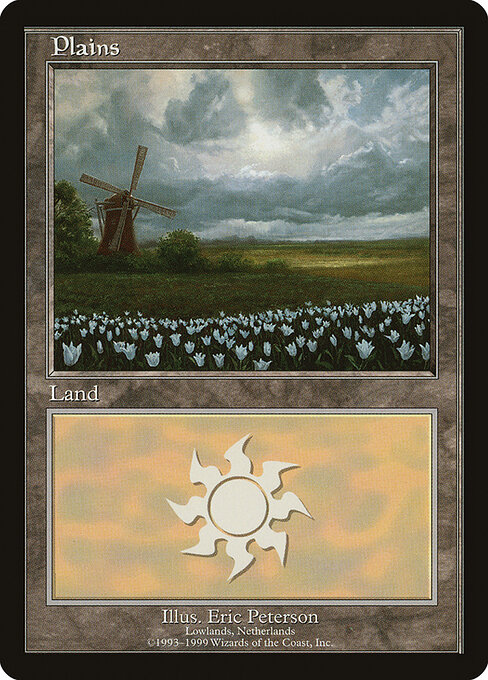 Plains 9