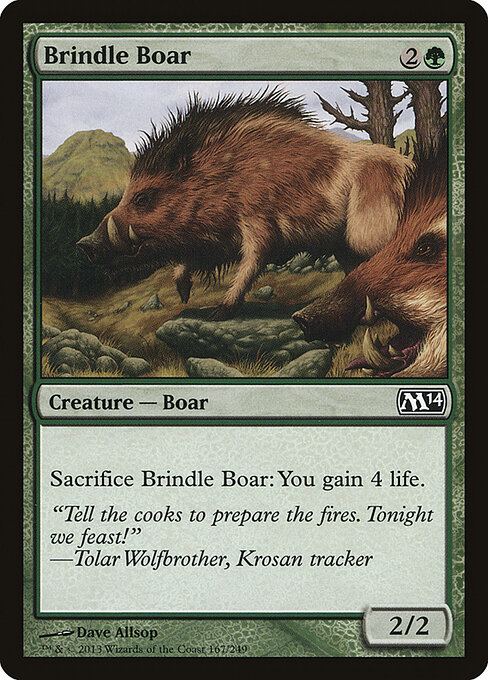 Brindle Boar 167
