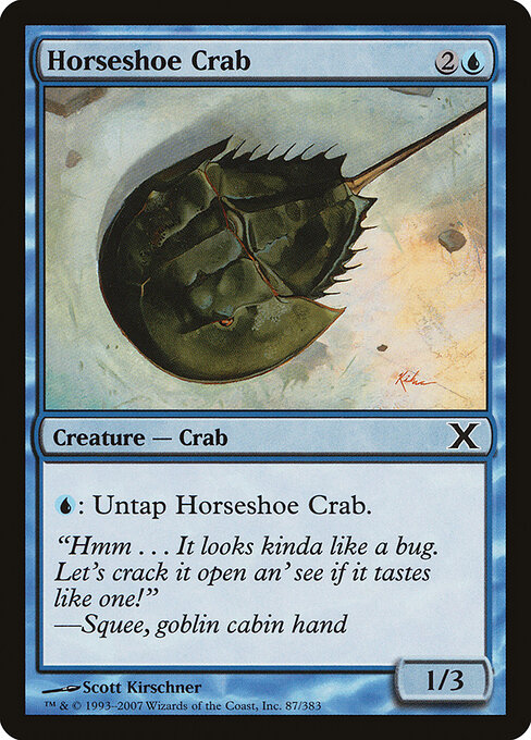 Horseshoe Crab 87