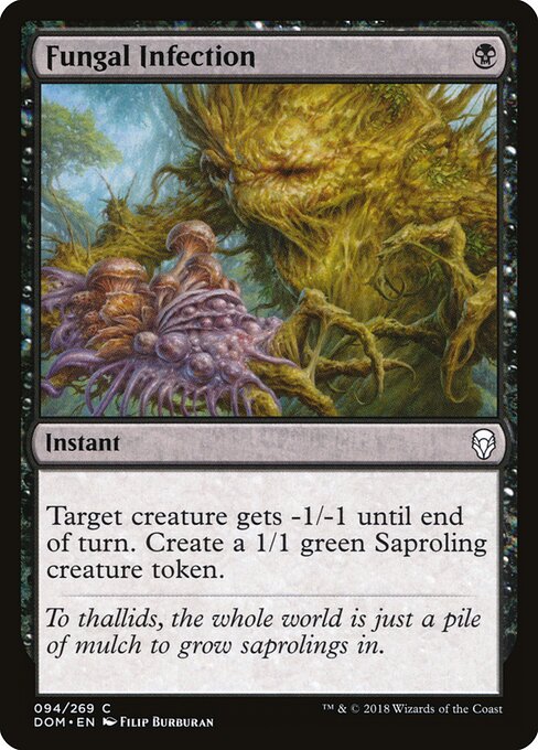 Fungal Infection 94
