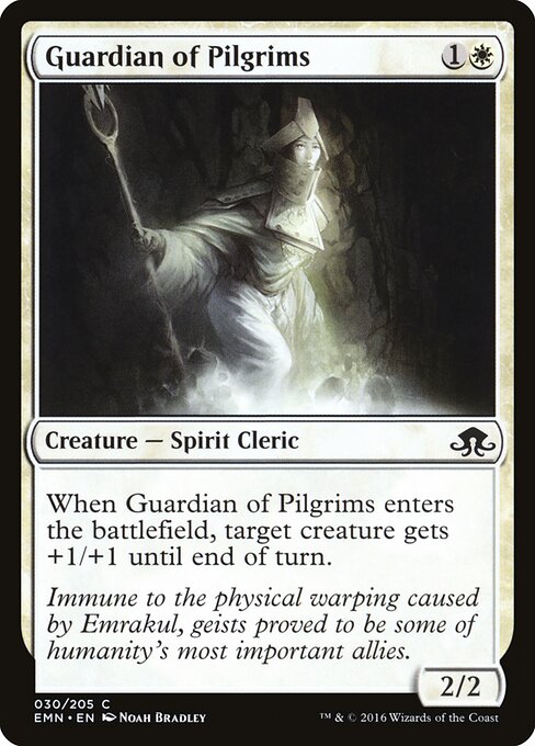 Guardian of Pilgrims 30