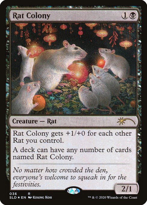 Rat Colony 36